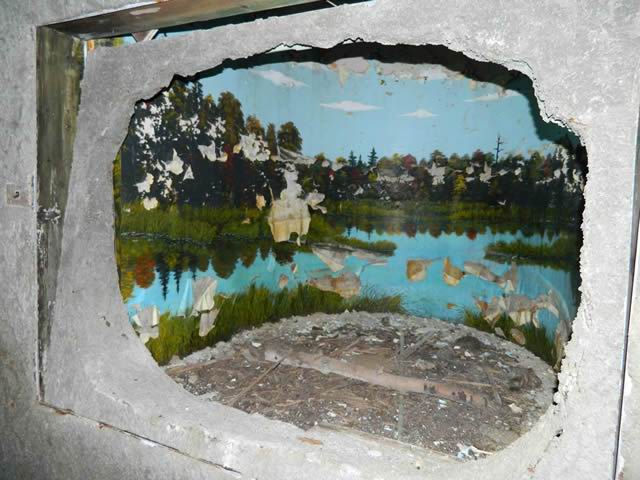 Underground Forest - Summer 2013 From Ron Gross (newer photo)